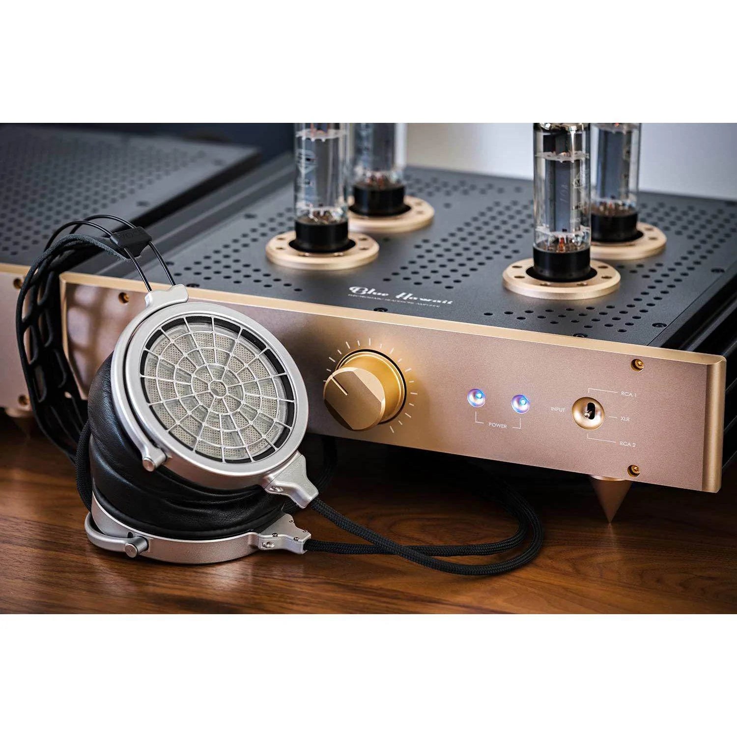 HeadAmp — collection banner