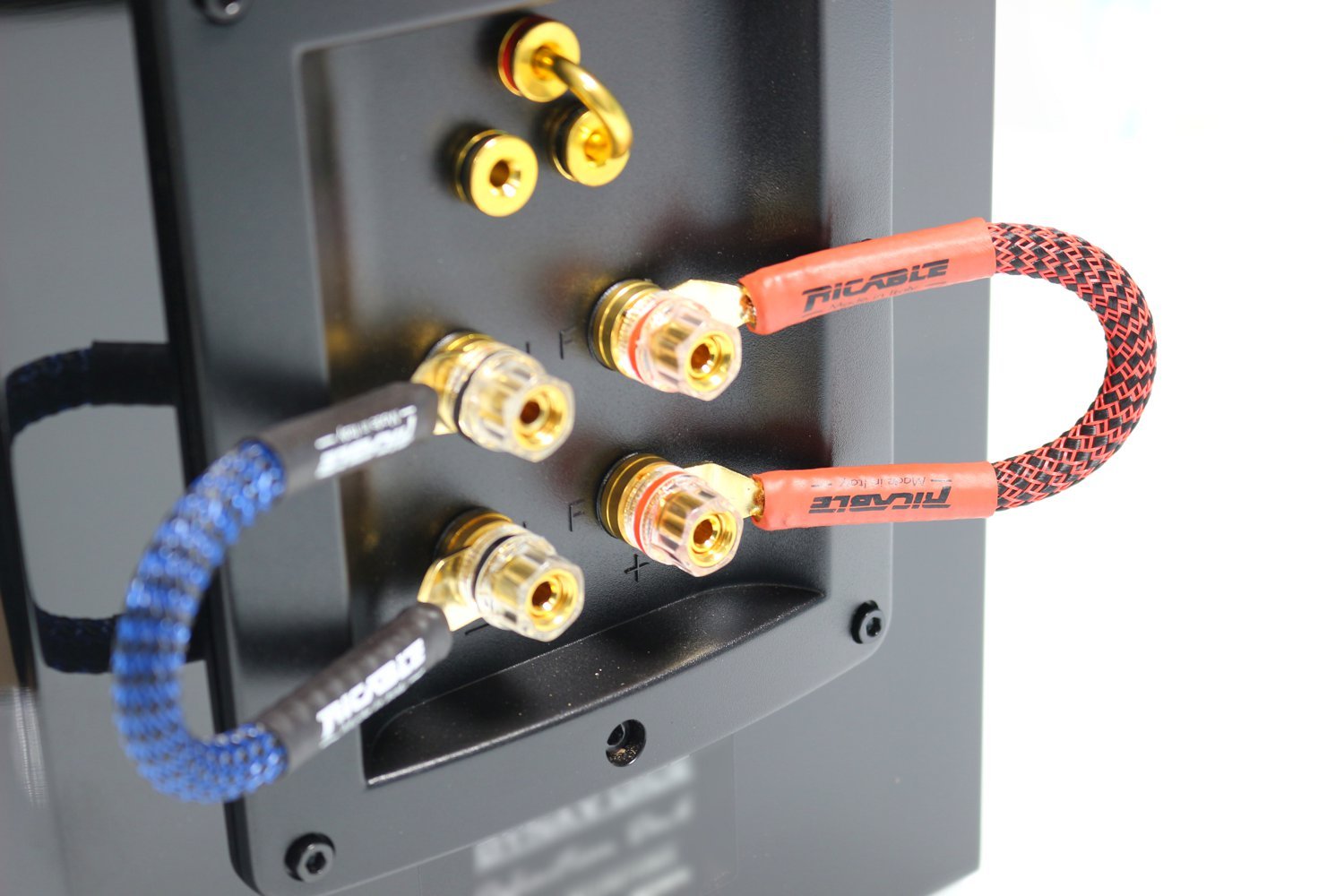Ricable Invictus Speaker Jumpers, connector detail