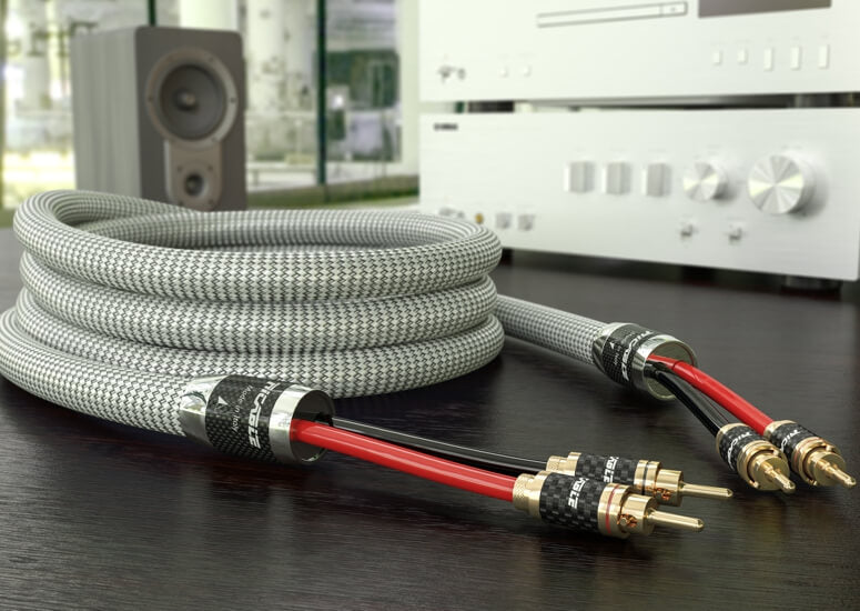 Ricable Invictus Speaker Reference MKII, connector detail