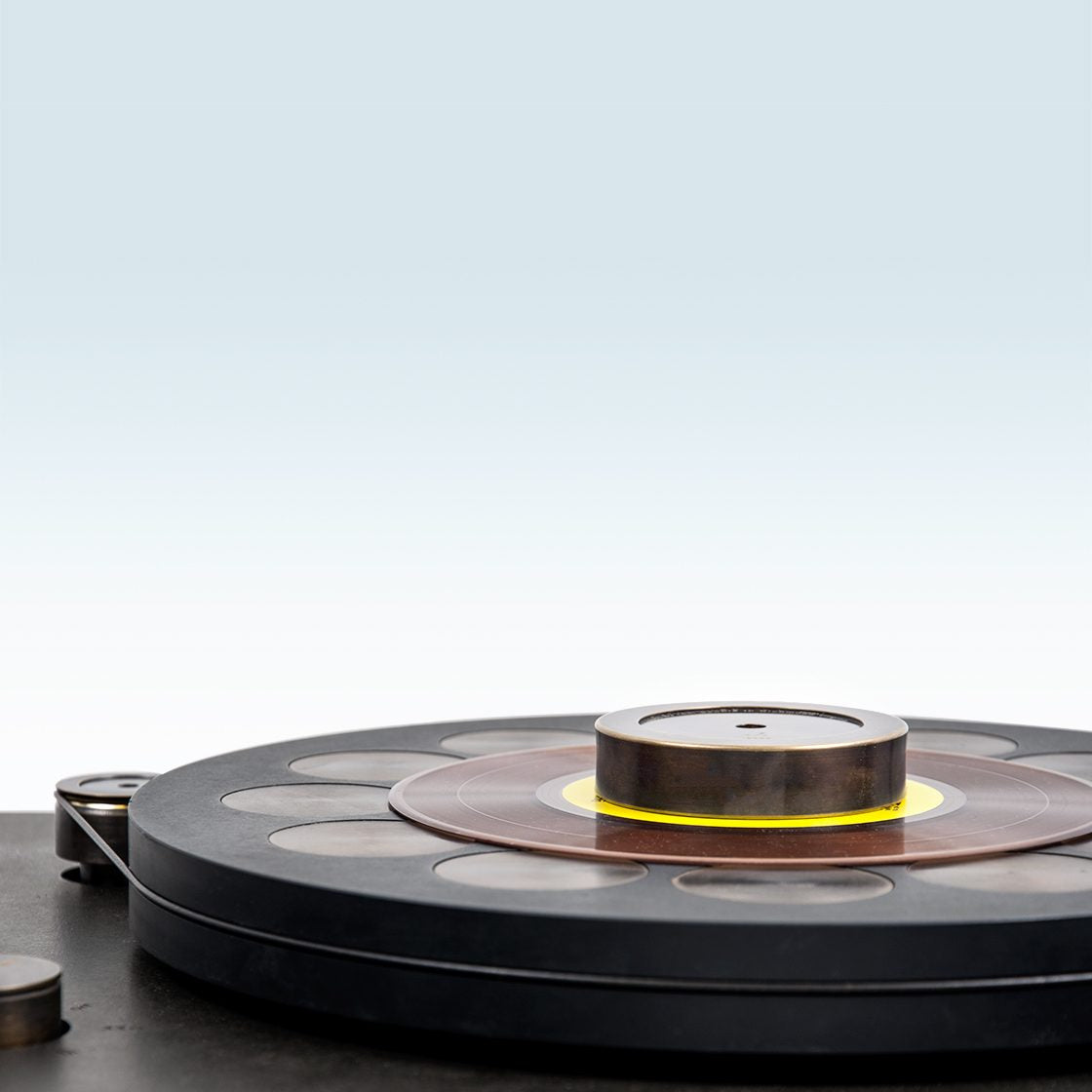 Fern and Roby The Brass Record Weight