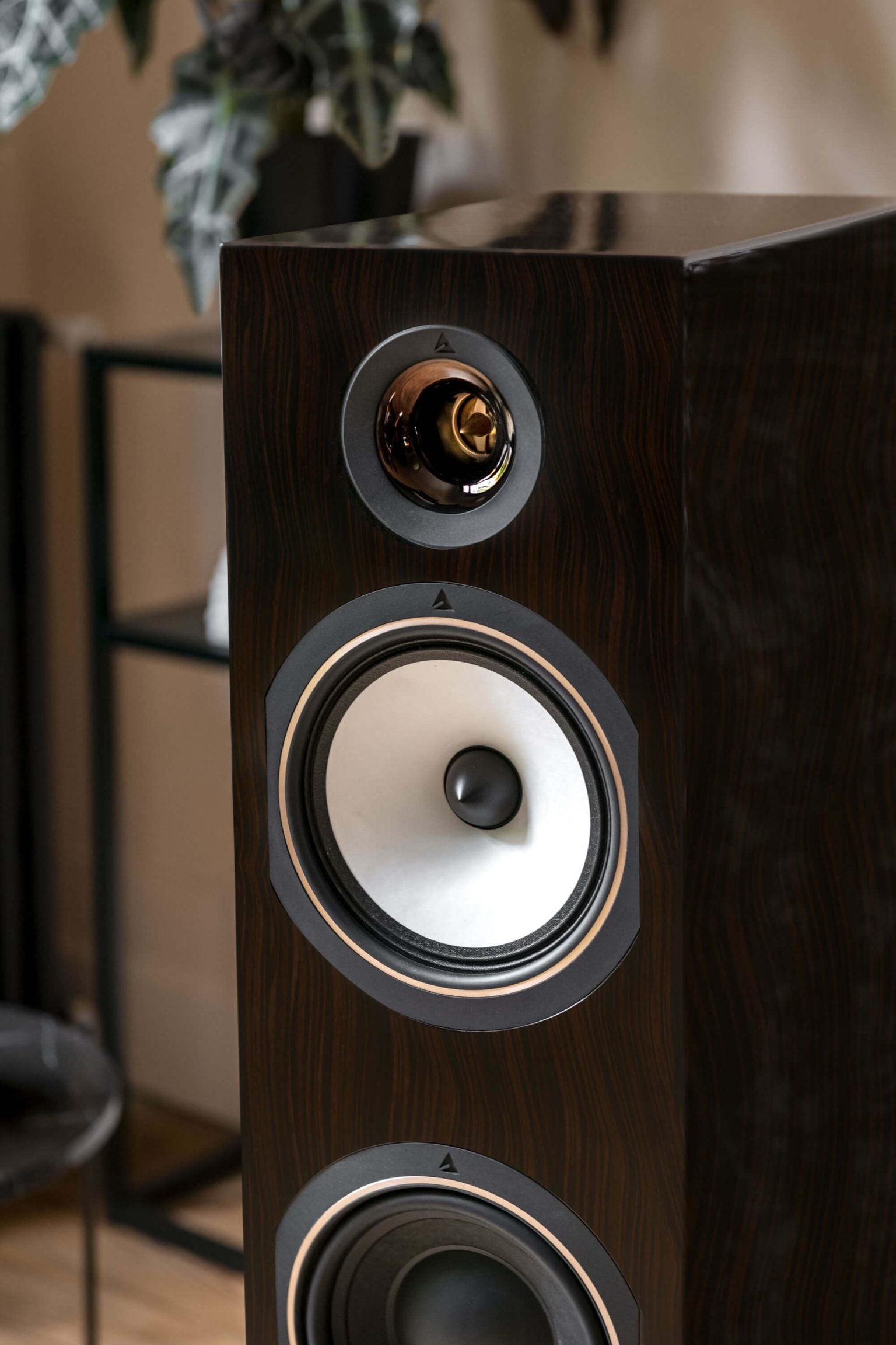 Triangle 40th Anniversary Antal