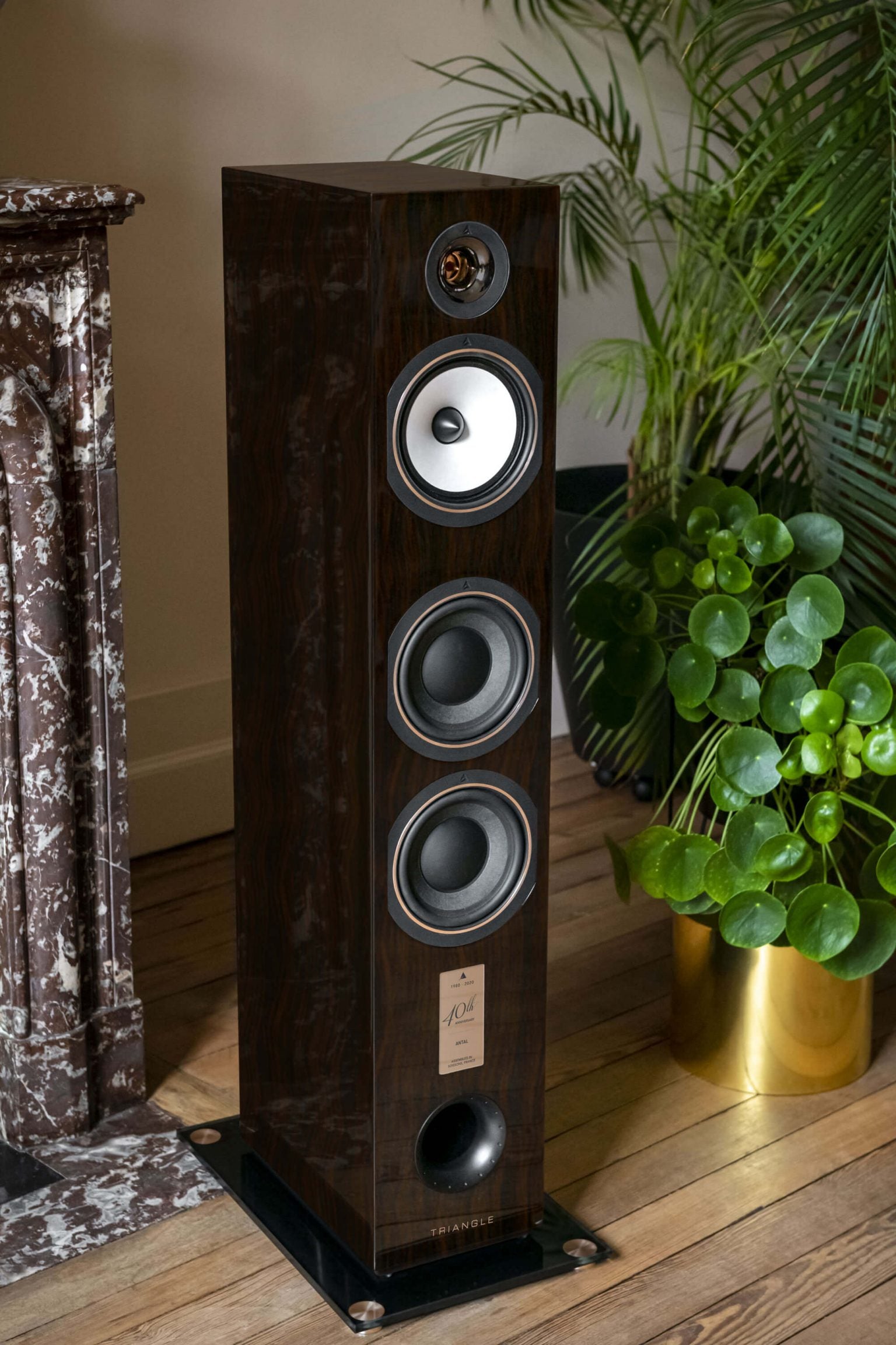 Triangle 40th Anniversary Antal