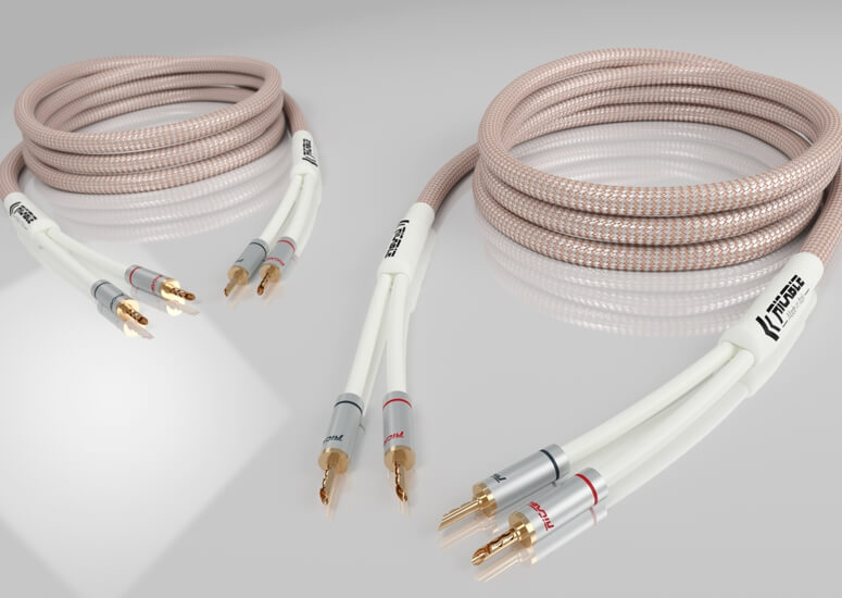 Ricable Dedalus Speaker Elite, connector detail