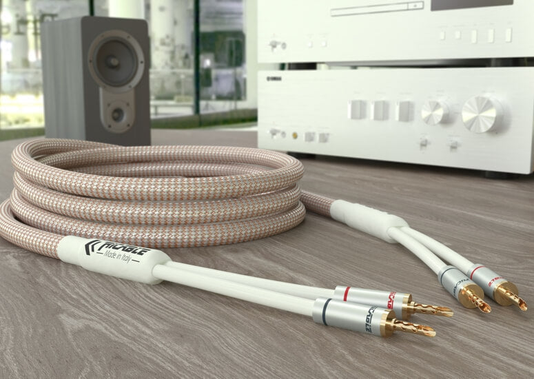 Ricable Dedalus Speaker Elite, lifestyle view