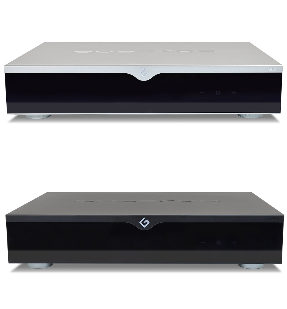GUSTARD R30 Fully-Discrete R2R Network Streaming DAC