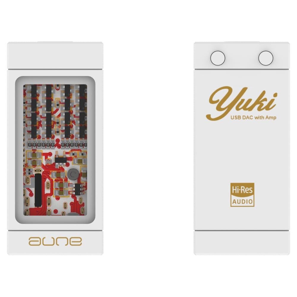 Aune Yuki dongle DAC glass window and volume keys