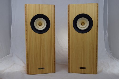 Blumenstein Audio Uni 5" TT Feastrex Full-Range