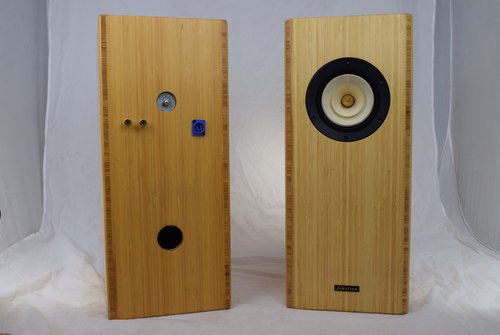Blumenstein Audio Uni 5" TT Feastrex Full-Range